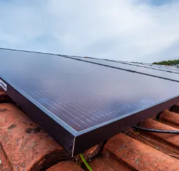 illustration témoignage