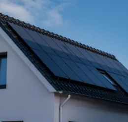 illustration témoignage